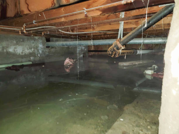 Best Flooded house restoration  in Pu, HI